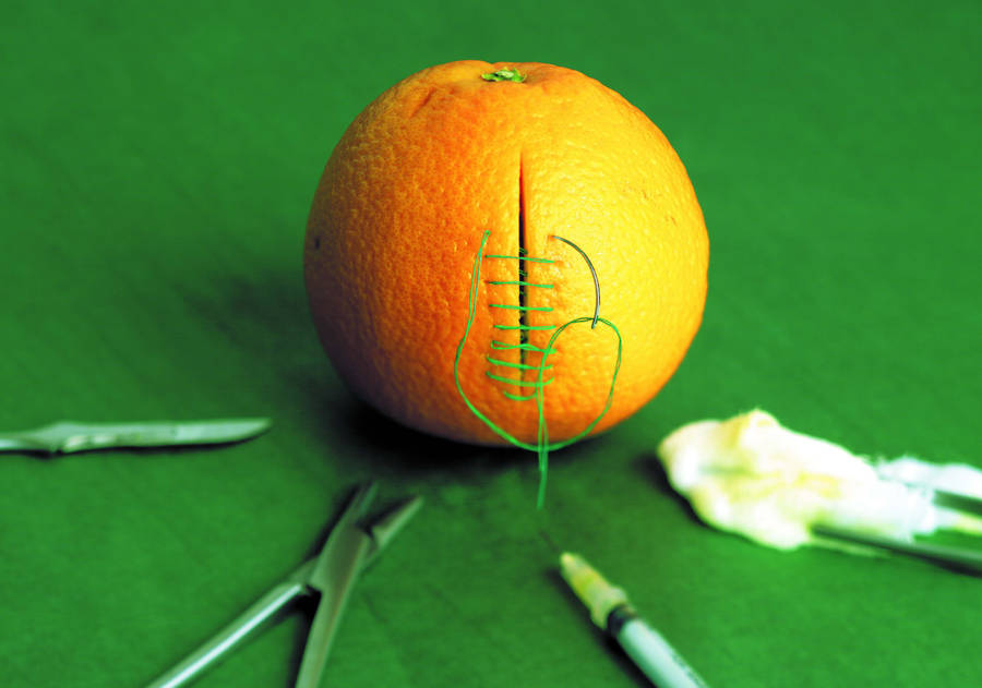 stitches on an orange