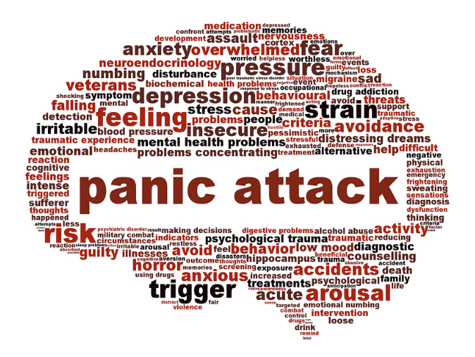 what is a panic attack brain - illustration