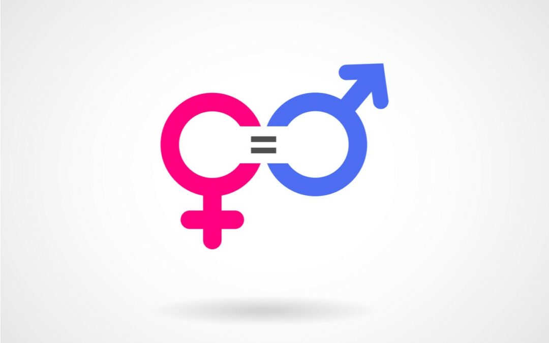 Gender equality vector image