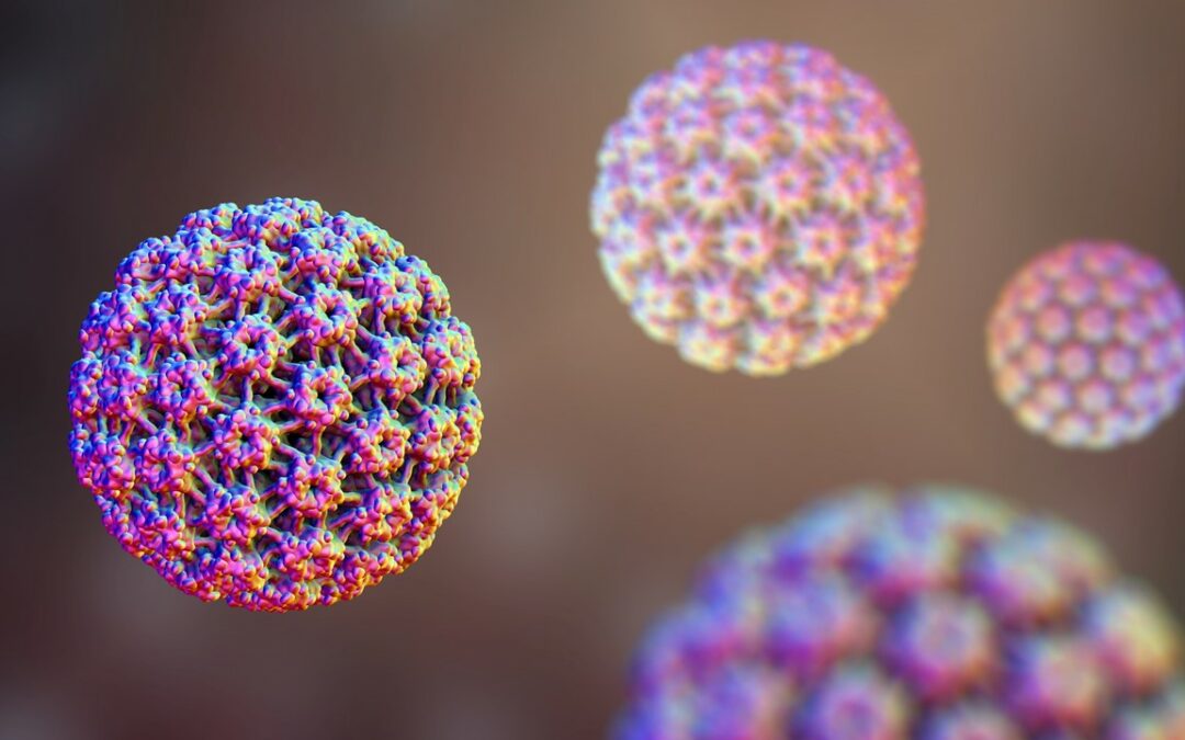 HPV germs