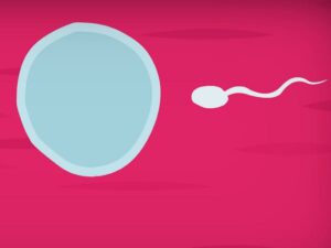 a sperm reaching out egg