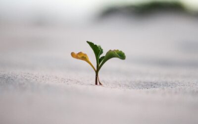 How Women Can Develop a Growth Mindset